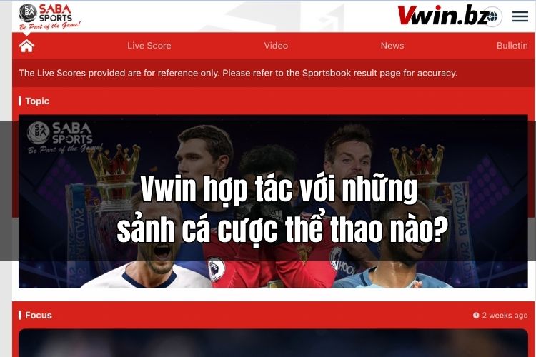 Vwin hợp tác với những sảnh cá cược thể thao nào?