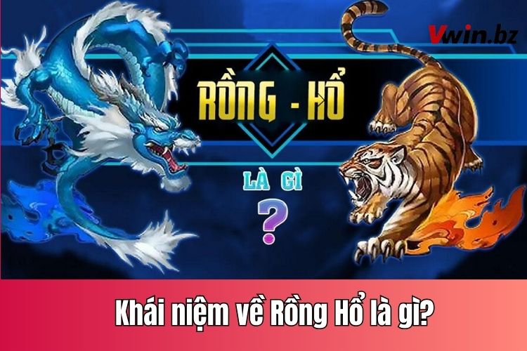 Rồng Hổ là gì?